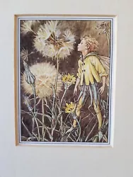 Buy Flower Fairies  Jack Go To Bed At Noon   Print By Zetland Publication • 12.50£