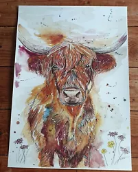 Buy Highland Cow Colourful Watercolour Print Of Original Painting A3 Unframed • 30£