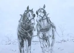 Buy Study Of A Horses By Anthony Avery - Pencil • 9.95£