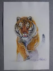 Buy TIGER Animals Original Watercolor Acrylic Painting Art By Ukraine Artist • 37.28£