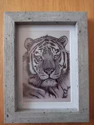 Buy TIGER Picture Animal Gift 6x4  Unframed Matt Photo Print Drawing • 1.99£