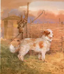 Buy Shepherd's Dog, Book Print Of A  Painting By  Gordon Beningfield • 2.09£