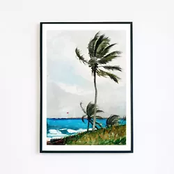 Buy Palm Tree Nassau 1899 Landscape Painting Illustration 7x5 Wall Decor Art Print  • 3.95£