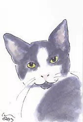 Buy OSWOA Kitten Grin Original Watercolour Painting Animals Art Postcard Cat  • 7£