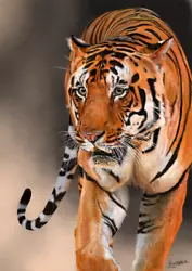 Buy Tiger: Original Limited Edition Print • 20£