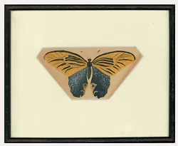 Buy Framed Late 19th Century Watercolour - Yellow Butterfly • 157£