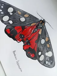 Buy Butterfly Painting Original  • 10£