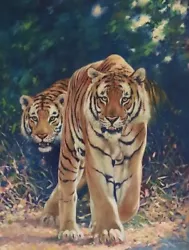 Buy Large Original Tiger Painting Joel Kirk Renowned Wildlife Artist £4000 Valuation • 899.99£