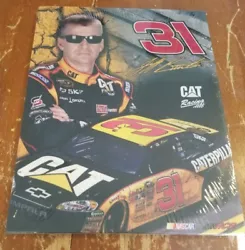 Buy NASCAR Jeff Burton 11x14 Canvas Print Photo Portrait • 9.44£