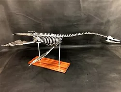 Buy Handmade Welded Plesiosaurus Skeleton (Lock Ness Monster) • 700£