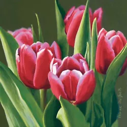 Buy DANFORTH Red White Tulips, 6x6 Realistic Original Flower Floral Oil Painting • 236.81£