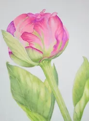 Buy Original Watercolour Painting Flowers. Peony II. Malgorzata Lis. COA • 9.99£