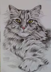 Buy ACEO Cat Drawing Watercolor Pencil By The Author Original Not Print • 12.61£