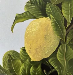 Buy Original Oil Painting Still Life Lemon Tree Realism Abstract Art Home Wall Decor • 75£