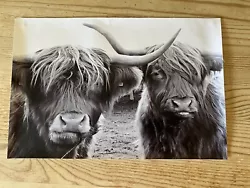 Buy Canvas Painting,Black White Highland Cows Print,Home Decoration Artwork Unframed • 5.49£