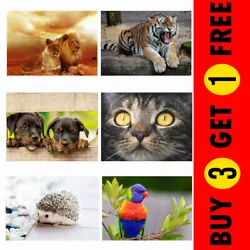 Buy Cats Dogs Zoo Animals Birds Pets Picture Photo Poster Print Wall Art Home Decor • 2.48£