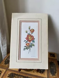 Buy Vintage Roses Botanical Flowers Watercolour Painting Picture Gallery Wall • 6.99£
