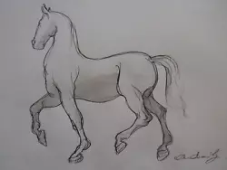 Buy Original Pencil Drawing Sketch Of An Ecorche Anatomical Sculpture Of A Horse • 29.99£