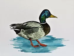 Buy Original Painting Art Watercolour Painting On Watercolour Paper Mallard (Duck) • 15£
