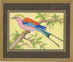Buy Contemporary Gouache - African Rainbow Bird • 51£