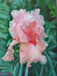 Buy Iris Oil Painting On Canvas Handpainted 11 X 14 In. • 49.87£