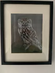 Buy Little Owl Bird Of Prey Original Wildlife Art David Tarrant • 250£