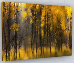 Buy Abstract Paint Effect Golden Forest  Woodland Trees Canvas Picture Print  • 24.12£