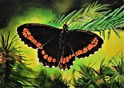 Buy Painting Brown Butterfly Original Small Art Oil Realism Paul Tremlin 5 X7  X1/8 • 81.03£