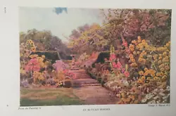 Buy Antique Print An Autumn Border C1930's From Painting George S Elgood Gardens • 2.89£