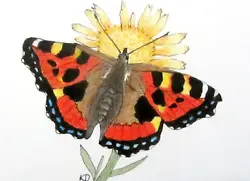 Buy Aceo,Butterfly,Small Tortoiseshell,Contemporary Art, Miniature,Painting,Wildlife • 5£