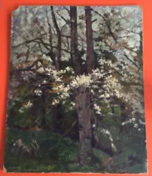 Buy Vintage Retro Oil Painting Board Blossom Tree Unframed Signed Picture T. Walker • 65£