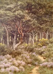 Buy Original Helen Allingham Watercolour Of A Woodland Path In Excellent Condition • 3,800£