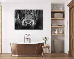 Buy Highland Cow Black And White Painting Large A2 Canvas Velvet FREE DELIVERY • 19.99£