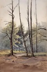 Buy Trees In Forest - Small Antique Watercolour Painting - 19th Century • 30£