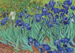 Buy Vincent Van Gogh, Irises In The Garden Famous Painter Painting Art Print Picture • 8.50£