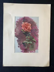 Buy Alfred  Prust Still  Life Flower  Watercolor ROSE • 82.88£