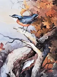 Buy ^. NUTHATCH AND TREE CREEPER IN TREE. 1980s PRINT OF A PAINTING BY BENINGFIELD • 2.29£