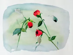 Buy Red Rose, Flower, Limited Edition Print, Watercolor Painting, Signed, Art, 15x11 • 41.25£