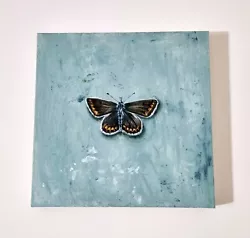 Buy Butterfly I - NEW! Original Acryl Painting On Deep Canvas 13.5x13.5inch • 390£
