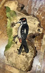 Buy Woodpecker Original Painting On Wood • 15£