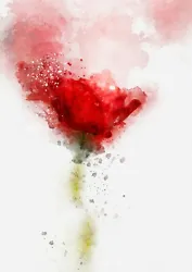 Buy Red Poppy, Watercolour Painting, Flower Artwork, Wall Art Print, 5  X 7  • 4.49£