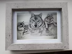 Buy WOLF PACK FAMILY Wolves 6x4  Unframed Matt Photo Print Picture Love Gift Animal  • 0.99£