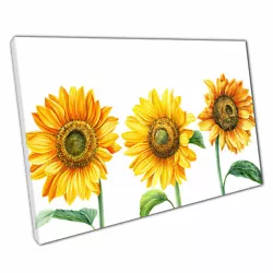 Buy Three Vibrant Realistic Sunflowers In Bloom Watercolour Painting Illustration • 15.58£