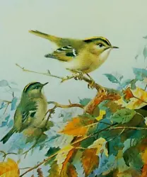 Buy Goldcrests,  A Print Of A Painting By Archibold Thorburn. • 1.99£