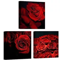 Buy  3 Pieces Black And White Red Rose Canvas Art Painting Abstract Wall 12 X12 X3 • 36.98£