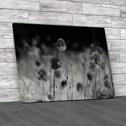 Buy Vibrant Abstract  Poppies Painting Floral  Black White Canvas Print Large • 59.95£