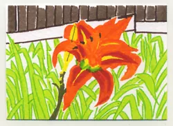 Buy Original Signed ACEO By Lucy Smith. 'Tiger Lily', Still Life, Plants, Flowers • 4.99£