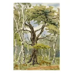 Buy Rosa E. Neumann, Sherwood Forest – Original 1894 Watercolour Painting • 16£