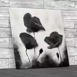 Buy Poppies Painting Square Black White Canvas Print Large Picture Wall Art • 14.95£