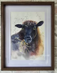 Buy Black Brown Sheep Original Watercolour Painting Hebridean Rare Breed Unique  • 95£